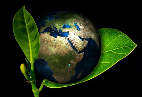 Geo Prof Teams With Museum for Earth Science Celebration