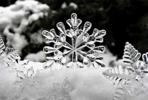 New Winter-Themed Event Ushers in Season, Closes Semester