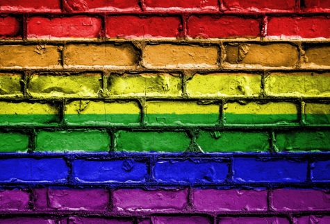 Safe Zone Sessions Encourage Alliances with LGBT Community