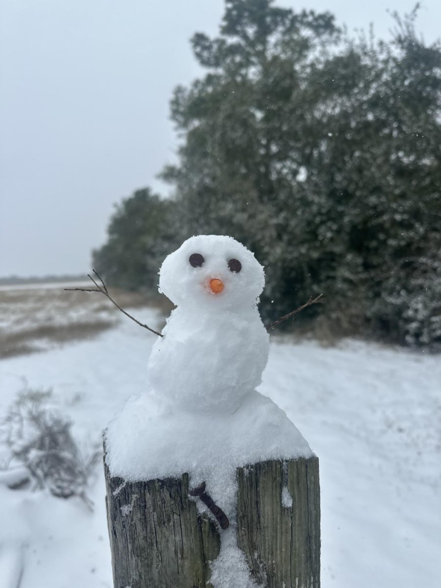 SNOW Day!