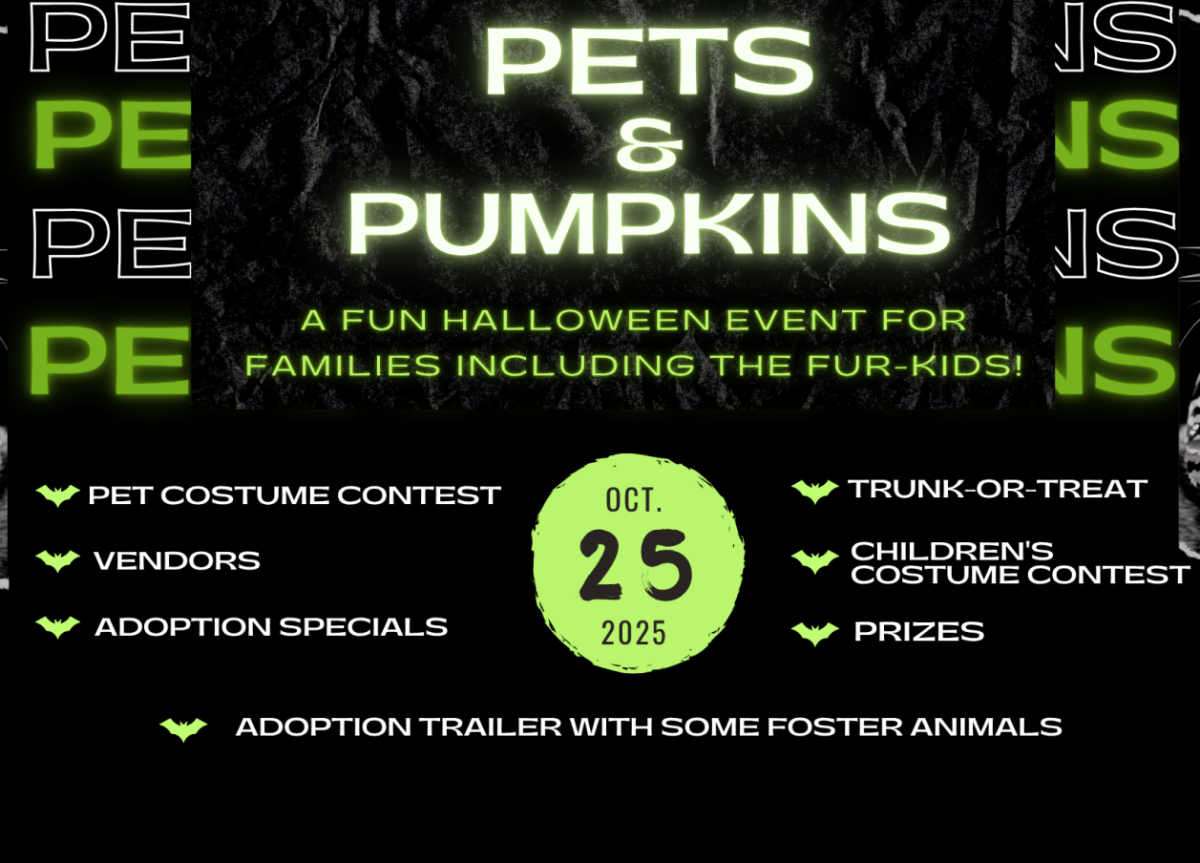 Pets and Pumpkins